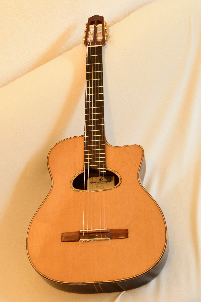 The Nylon string Gypsy